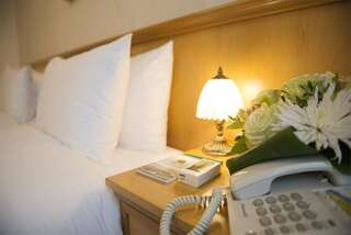 Гостиница Даниловская Москва Полулюкс улучшенный-9