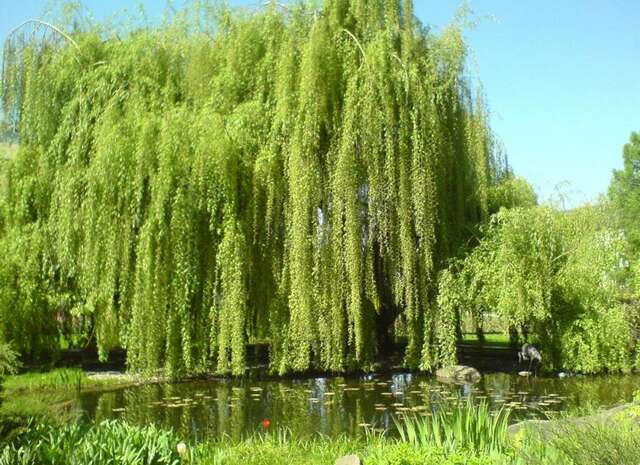 Гостиница Даниловская Москва-59